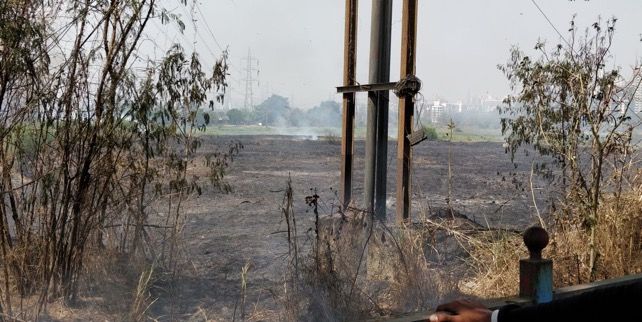 In Pics: Fire breaks out at mangroves near Bhandup pumping station, lit cigarette likely cause 2