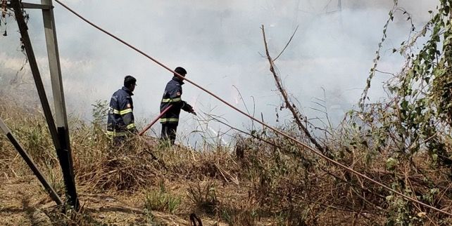 In Pics: Fire breaks out at mangroves near Bhandup pumping station, lit cigarette likely cause 3