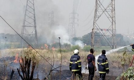 In Pics: Fire breaks out at mangroves near Bhandup pumping station, lit cigarette likely cause