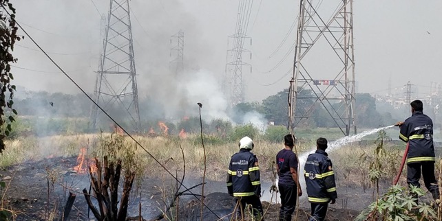 In Pics: Fire breaks out at mangroves near Bhandup pumping station, lit cigarette likely cause