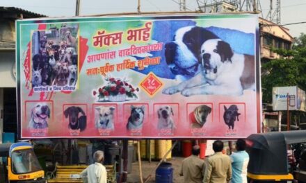 Kalyan residents poke fun at political hoardings, put up one to wish local dog on his birthday