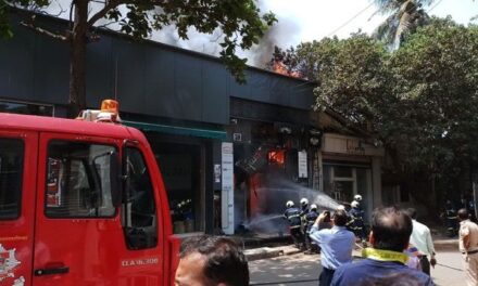 Video: Fire breaks out at showroom in Laxmi Industrial Estate, Andheri