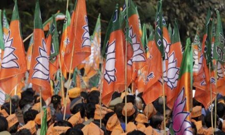 BJP announces candidates for Palghar, Bhandara-Gondia by-elections