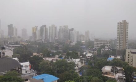 Mumbai receives highest rainfall in last 24 hours; heavy showers claim 3 lives