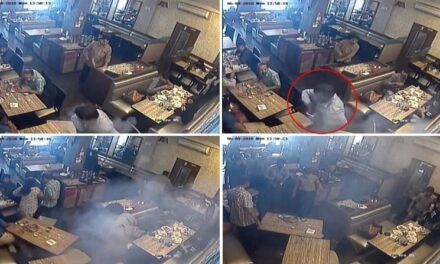 Video: Man’s cell phone explodes in pocket while eating at Bhandup restaurant