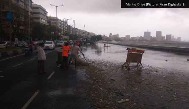 9,000 tonnes of garbage at Marine Drive: Bombay HC asks BMC for solution 1