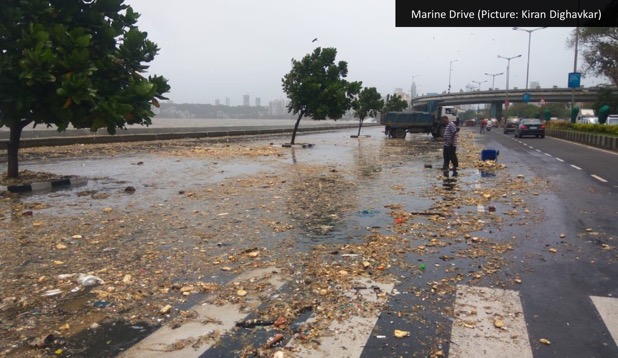 9,000 tonnes of garbage at Marine Drive: Bombay HC asks BMC for solution 2
