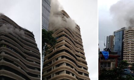 Video: Level III fire breaks out at Crystal Tower near Hindmata Cinema in Parel, 4 dead