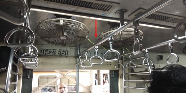 Video: Snake found on CSMT-bound train in Mumbai 1