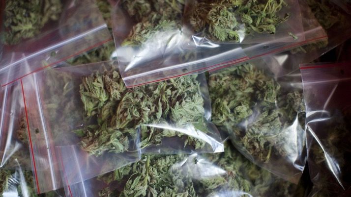 Four peddlers arrested with 5 kg cannabis, were lurking near Ghatkopar college