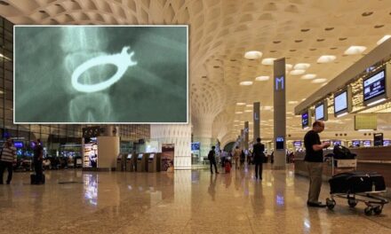 Chinese couple arrested with stolen diamond worth 60 lakh at Mumbai airport