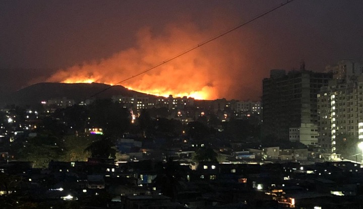 Fire breaks out at forest area near Aarey Colony, Goregaon