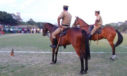 After Segways, Mumbai Police to procure 30 horses for mounted division