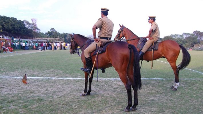 After Segways, Mumbai Police to procure 30 horses for mounted division