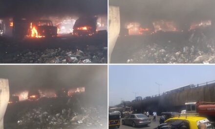 Video: Several cars gutted in fire under flyover opposite Domestic Airport on WEH