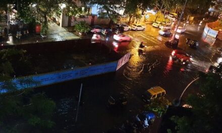 Day 1 of Mumbai Rains: Two minors electrocuted, transport hit