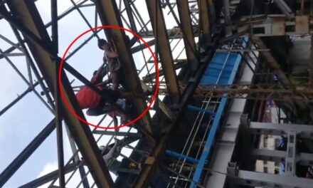 Mentally unstable man climbs atop bridge at Malad station, disrupts WR services