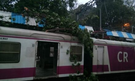 Tree falls on platform cover, stationary local at Mulund station