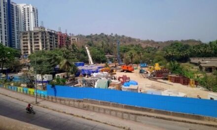 BMC allows cutting of 2,700 trees in Aarey for Metro-3 car shed