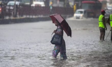 Monsoon 2019: Mumbai saw highest July rainfall in over a century