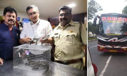 2 endangered baby crocodiles rescued from Borivali; 3 arrested