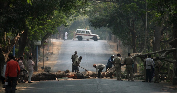 Bombay HC refuses to classify Aarey as forest, dismisses petition against felling of 2,600 trees