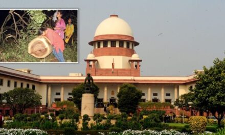 Don’t cut any trees in Aarey till October 21: Supreme Court