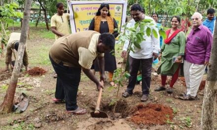 BMC to plant 3.7 lakh trees in Mumbai