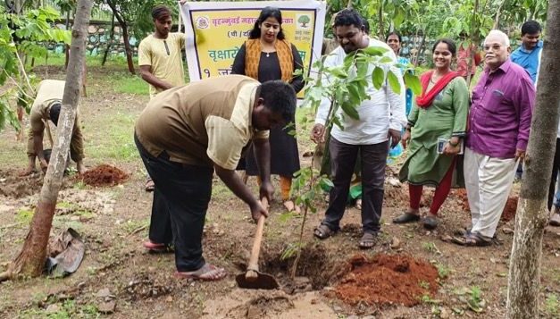 BMC to plant 3.7 lakh trees in Mumbai
