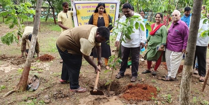 BMC to plant 3.7 lakh trees in Mumbai